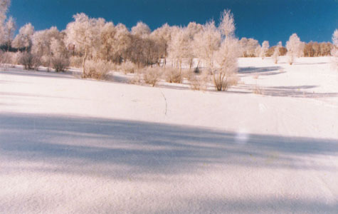 Saibei Skiing Field4